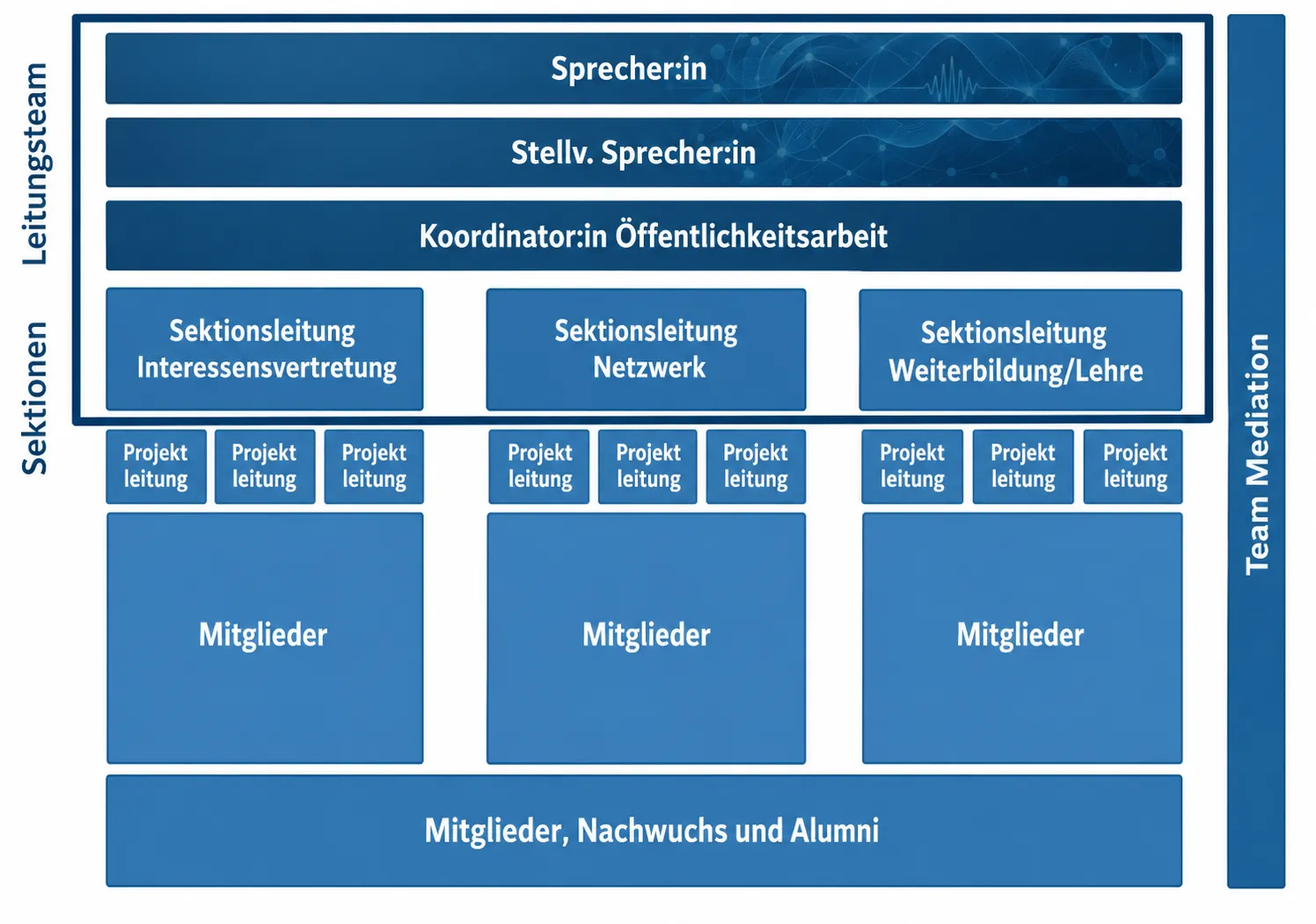 Organigram Junge HNO