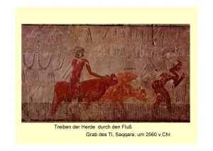 HistDokumente Bild11